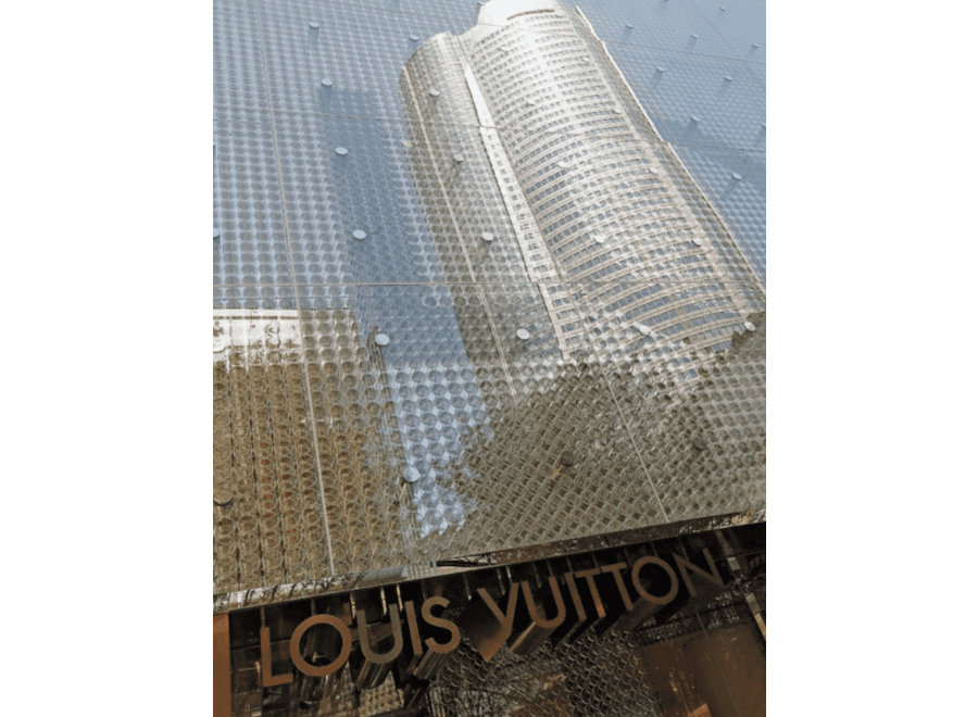 LOUIS VUITTON Boek