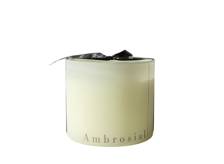 Bougie parfumée Ambrosial - M