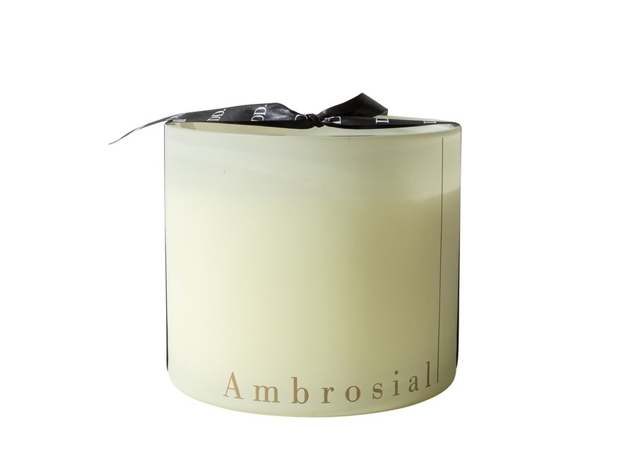 Bougie parfumée Ambrosial - L