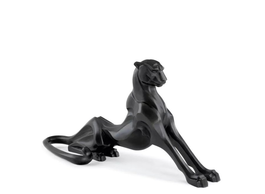 Object 'Cheetah'