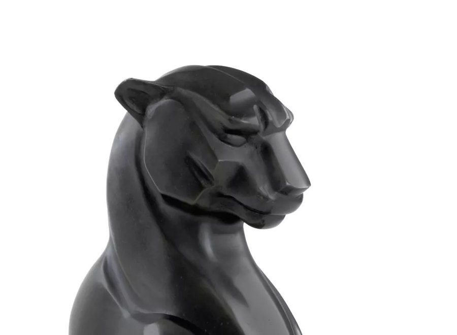 Object 'Cheetah'