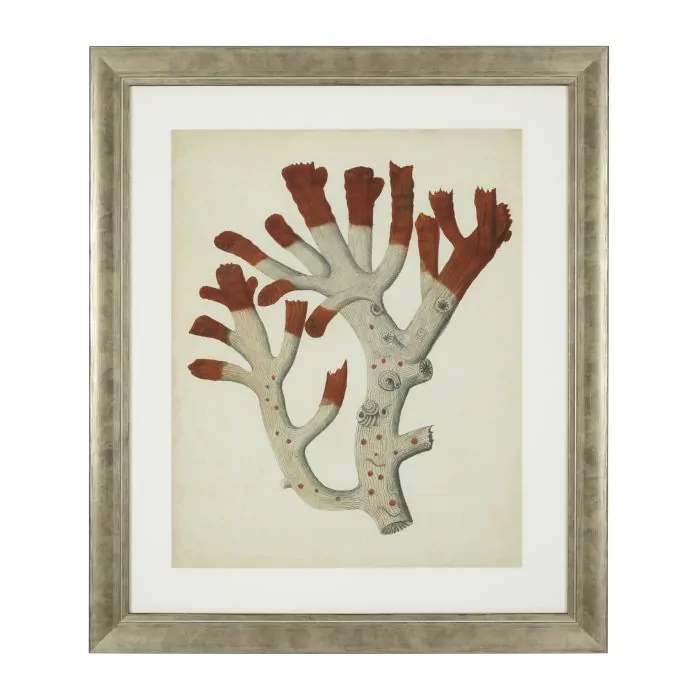 EICHHOLTZ Print 'Antique Red Corals' - set of 6 - Wilhelmina Designs