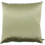 Olive37