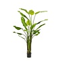 Kunstplant Strelitzia Nicolai 235cm