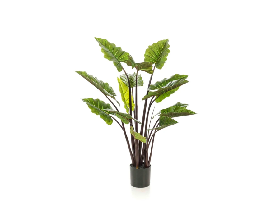 Plante artificielle Colocasia 130cm