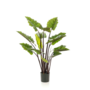Kunstplant Colocasia 130cm
