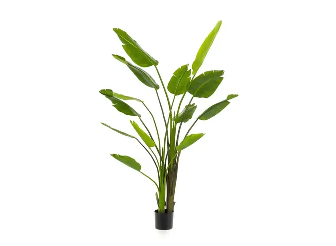 Artificial plant Strelitzia Nicolai 180cm