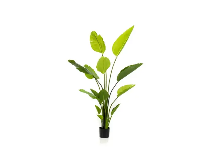 Artificial plant Strelitzia Nicolai 150cm