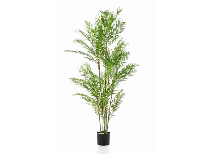 Plante artificielle Chamaedorea palmier 180cm