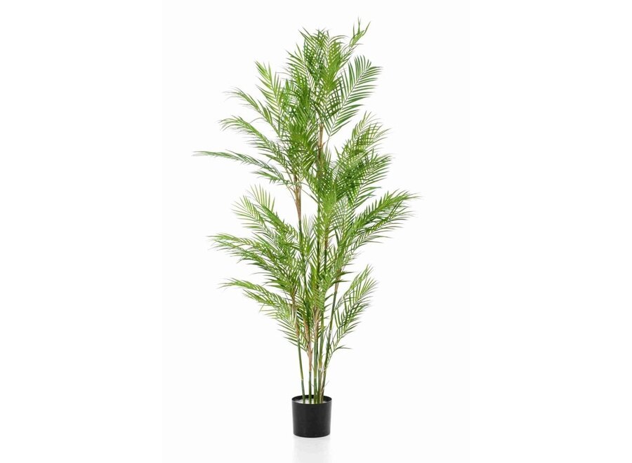 Plante artificielle Chamaedorea palmier 180cm