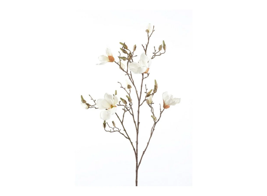 Artificial branches Magnolia set of 2 - Cream