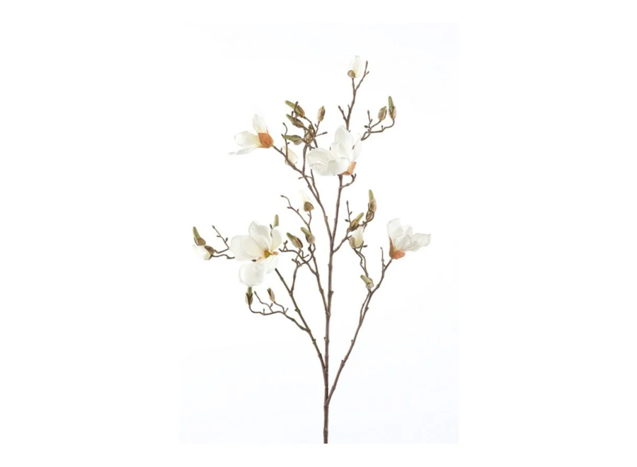 Branches artificielles Magnolia lot de 2 - Crème
