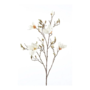 Kunsttakken Magnolia set van 2 - Crème