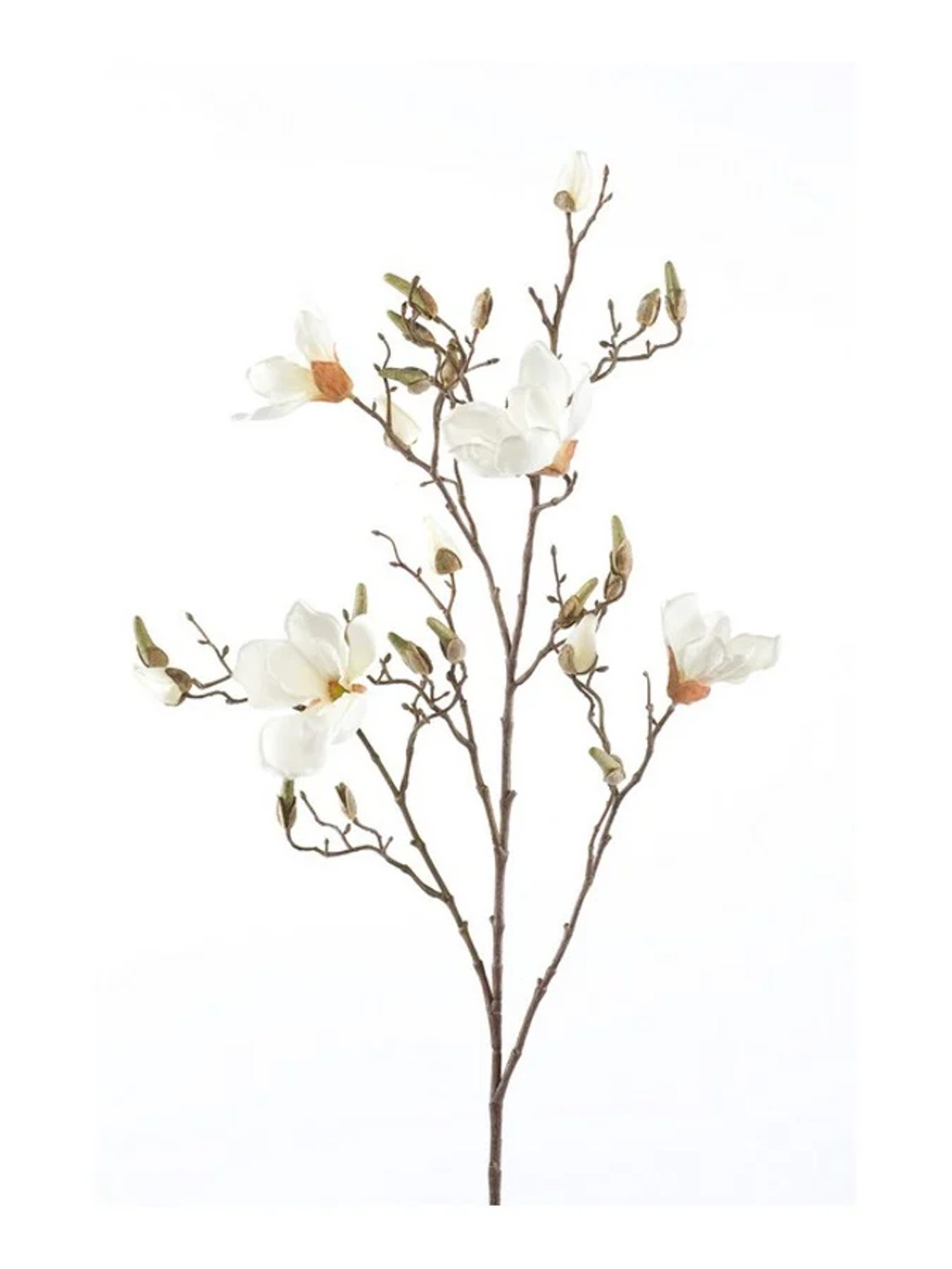 EMERALD Artificial branches Magnolia set of 2 - Wilhelmina Designs