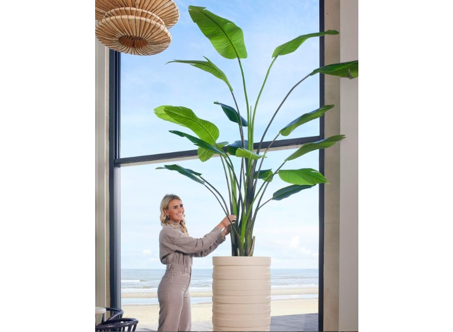 Artificial plant Strelitzia Nicolai 235cm