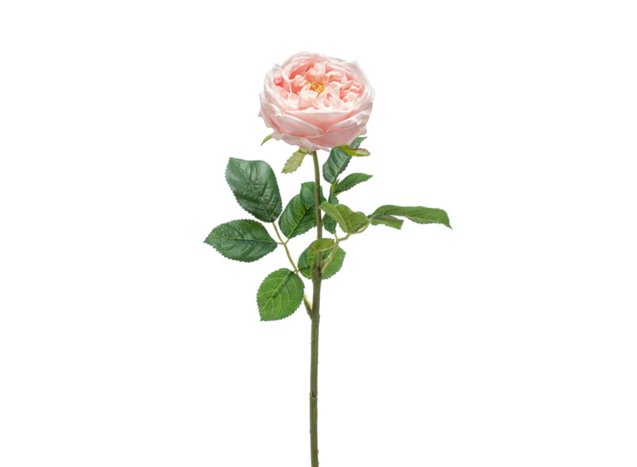 Artificial flowers Rose set of 6 - Peach