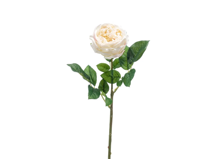 Fleurs artificielles Rose lot de 6 - Crème