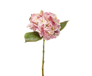 Lot De 6 Fleurs Artificielles Oiseau Du Paradis - 58 Cm | Bouquet Tropical Multicolore Pour Décoration Intérieur & Mariage