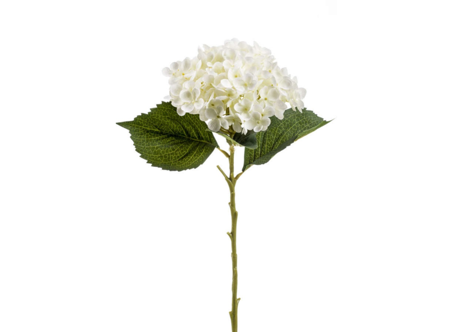 Fleurs artificielles Hortensia lot de 6 - Cream