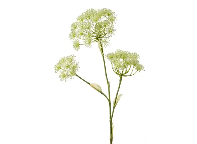 Artificial flower Heracleum 105cm - White