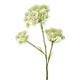 Fleur artificielle Heracleum 105cm - White
