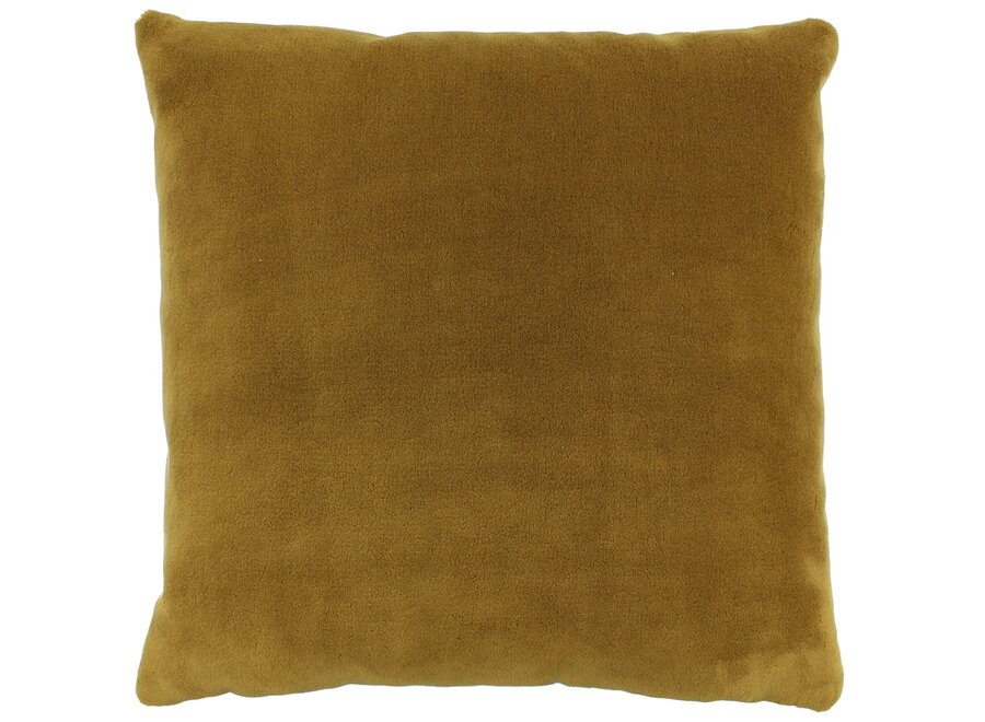 Cushion Cassinia Dark Gold