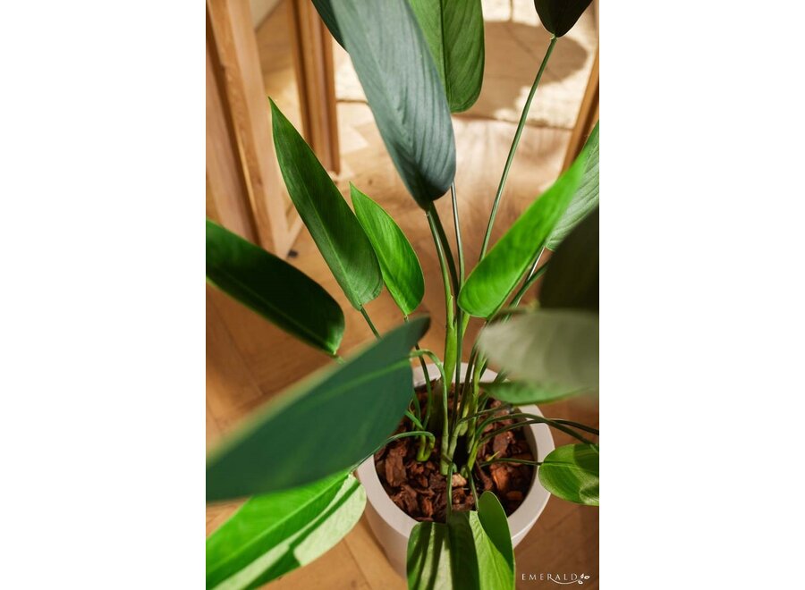 Kunstplant Heliconia 125cm