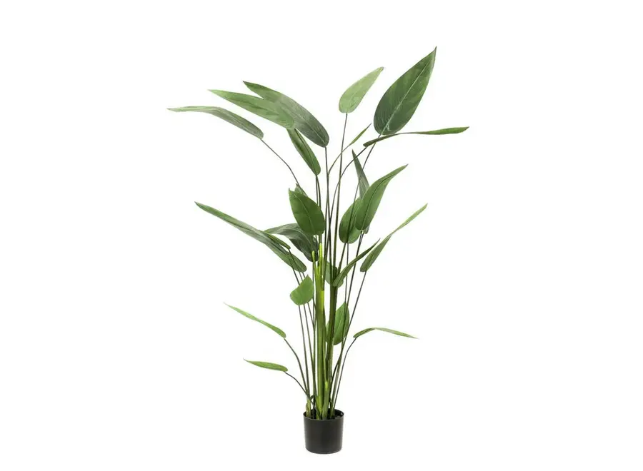 Künstliche Pflanze Heliconia 175cm