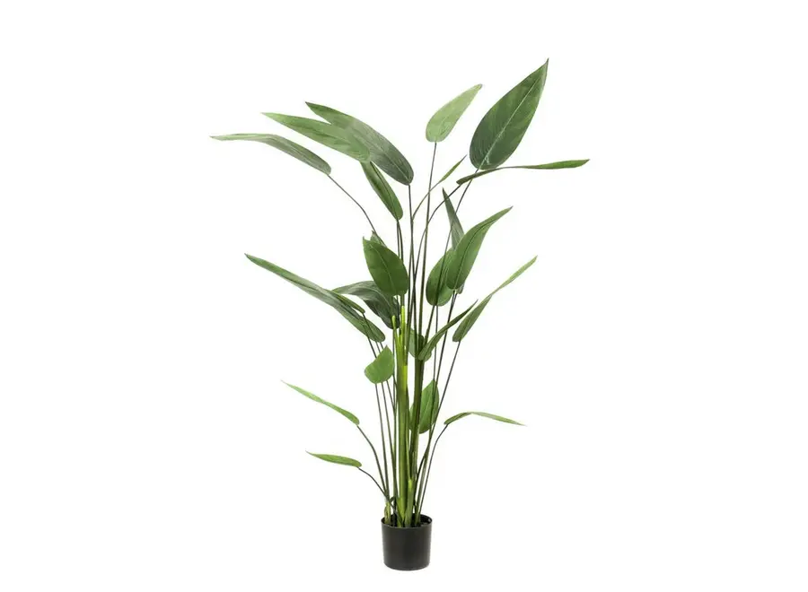 Artificial plant Heliconia 220cm