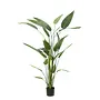 Artificial plant Heliconia 220cm