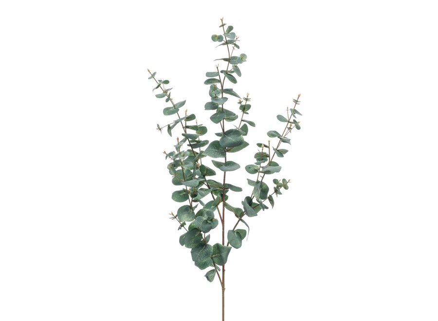 Artificial branches Eucalyptus set of 2
