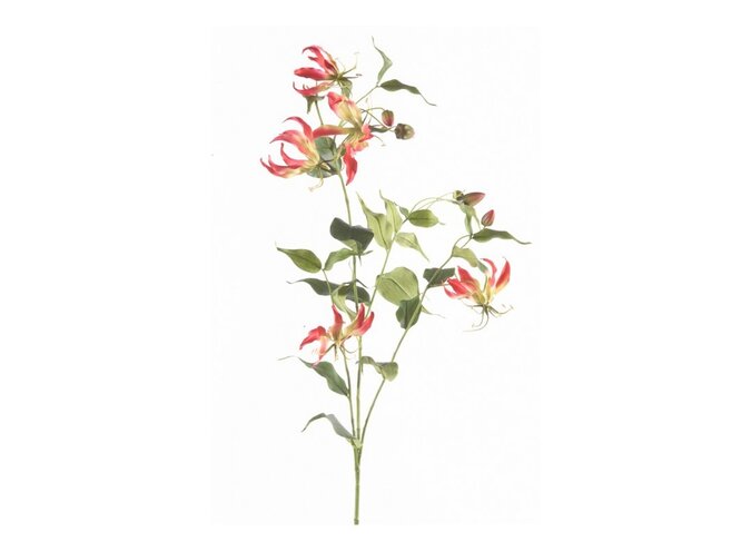 Fleur artificielles Gloriosa lot de 2 - Fuchsia