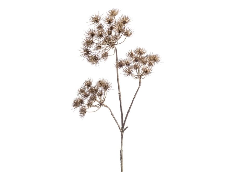 Fleur artificielle Griffe d'ours 102cm - Brown