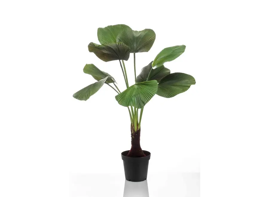 Artificial plant Licuala palm 130cm
