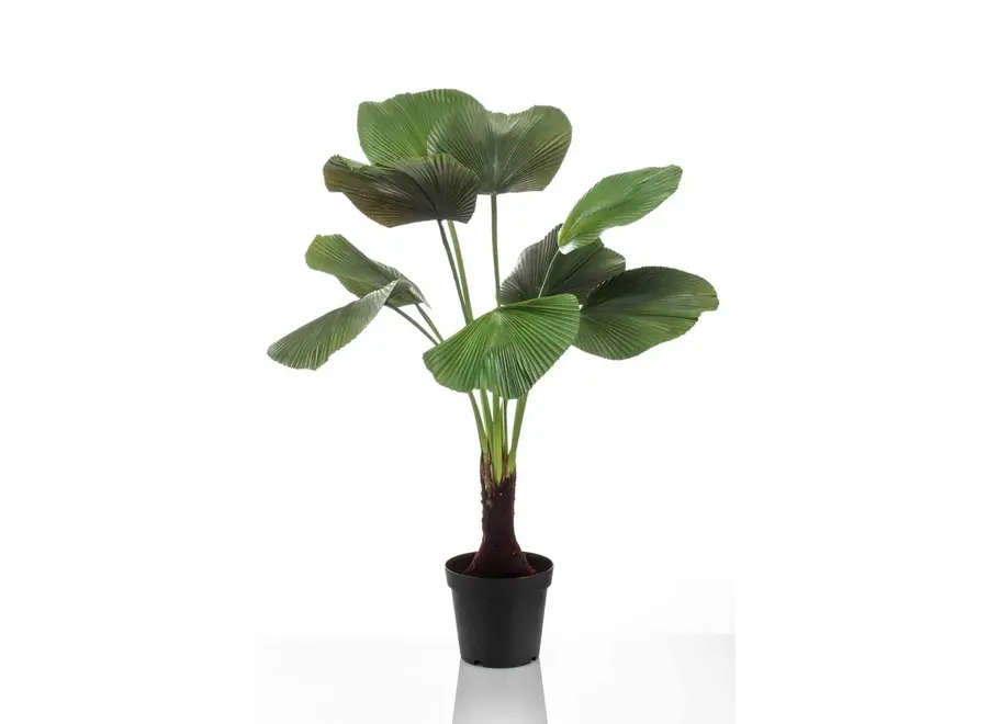 Plante artificielle palmier Licuala 130cm