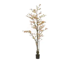 EMERALD Kunstbaum Tropaeolum pfirsich/grün Wilhelmina Designs