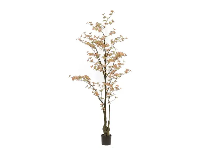 Kunstboom Tropaeolum peach/green 210cm