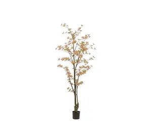 EMERALD Kunstbaum Tropaeolum pfirsich/grün Wilhelmina Designs