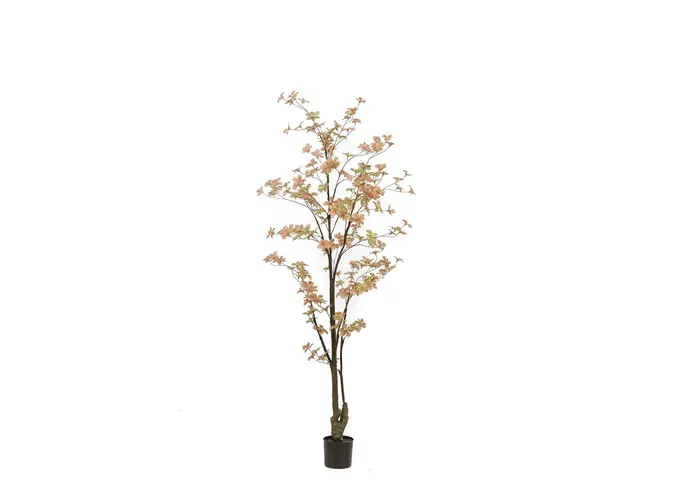 Artificial tree Tropaeolum peach/green 185cm