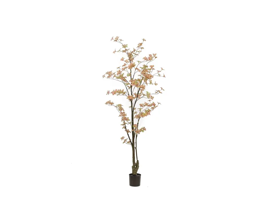 Kunstboom Tropaeolum peach/green 185cm