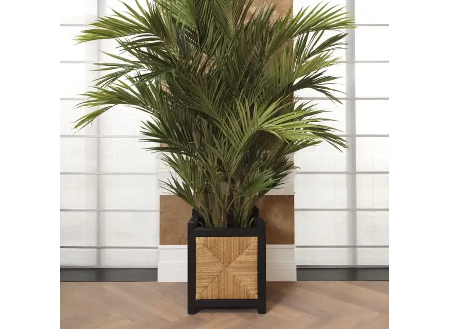 Planter 'Aruba'