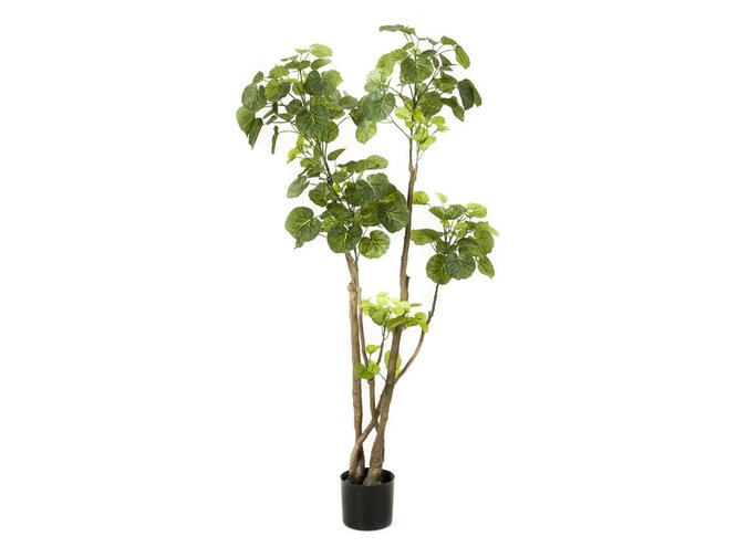 Artificial tree Polyscias 135cm