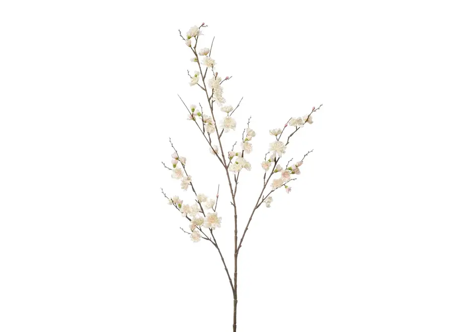 Branches artificielles Fleur de prunier lot de 2 - Crème