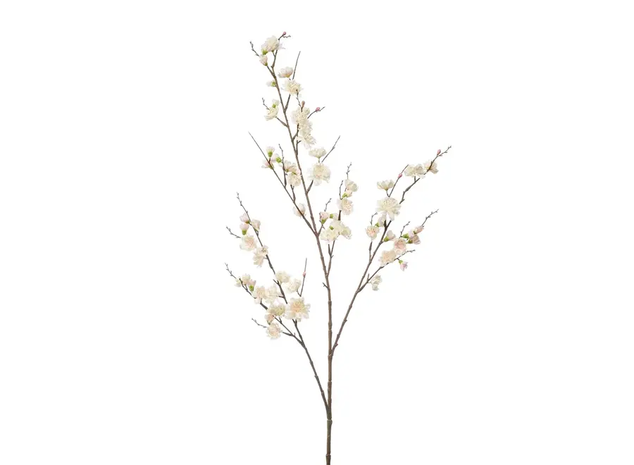 Branche de cerisier 49 cm - fleurs de nos jardins