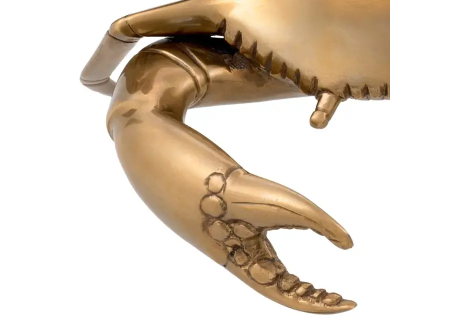 Object 'Crab'