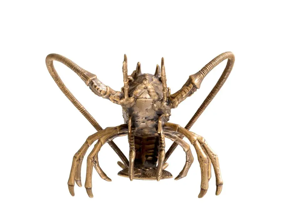 Object 'Lobster'