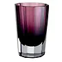 Vaas 'Chavez' - L - Purple