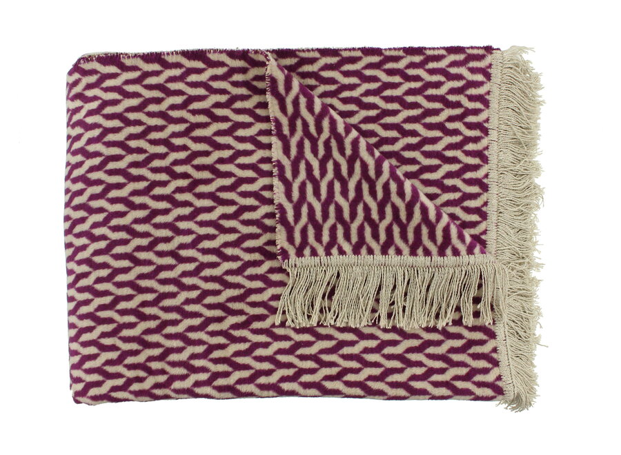 Plaid Aphos Violet