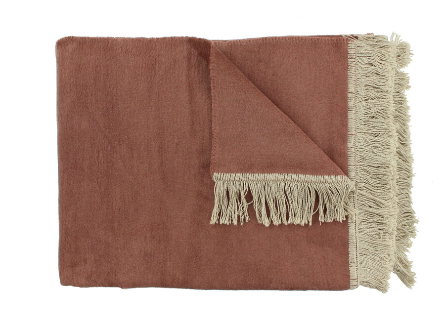 Plaid Paulos Ash Rose new