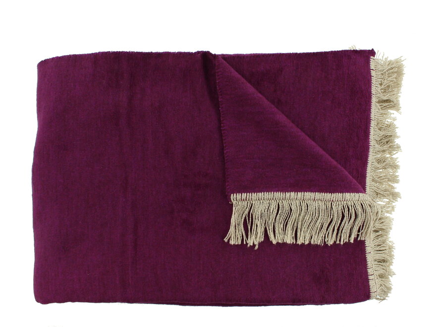Plaid Paulos Violet